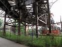 NY (343)
